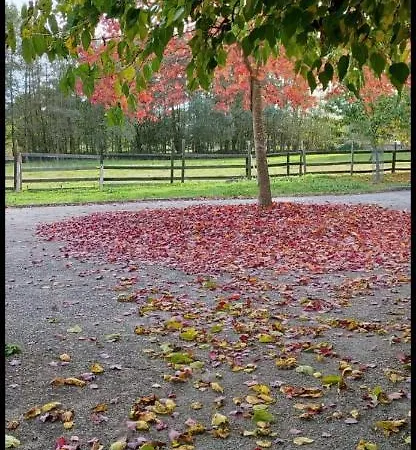 Дом отдыха Finca O Fontao *