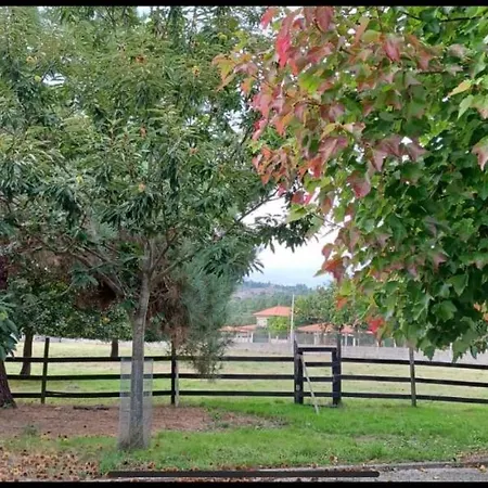 Finca O Fontao * Ourense